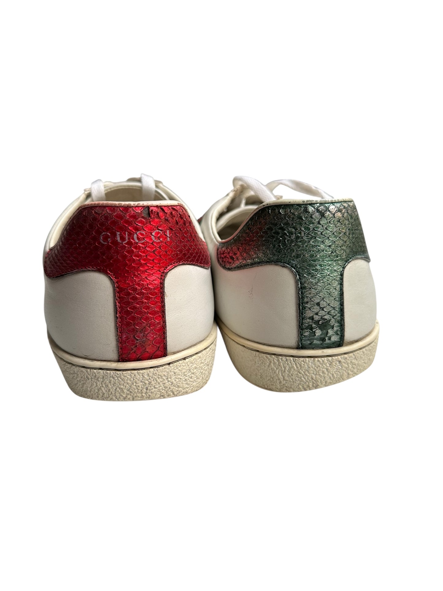Gucci ace snake