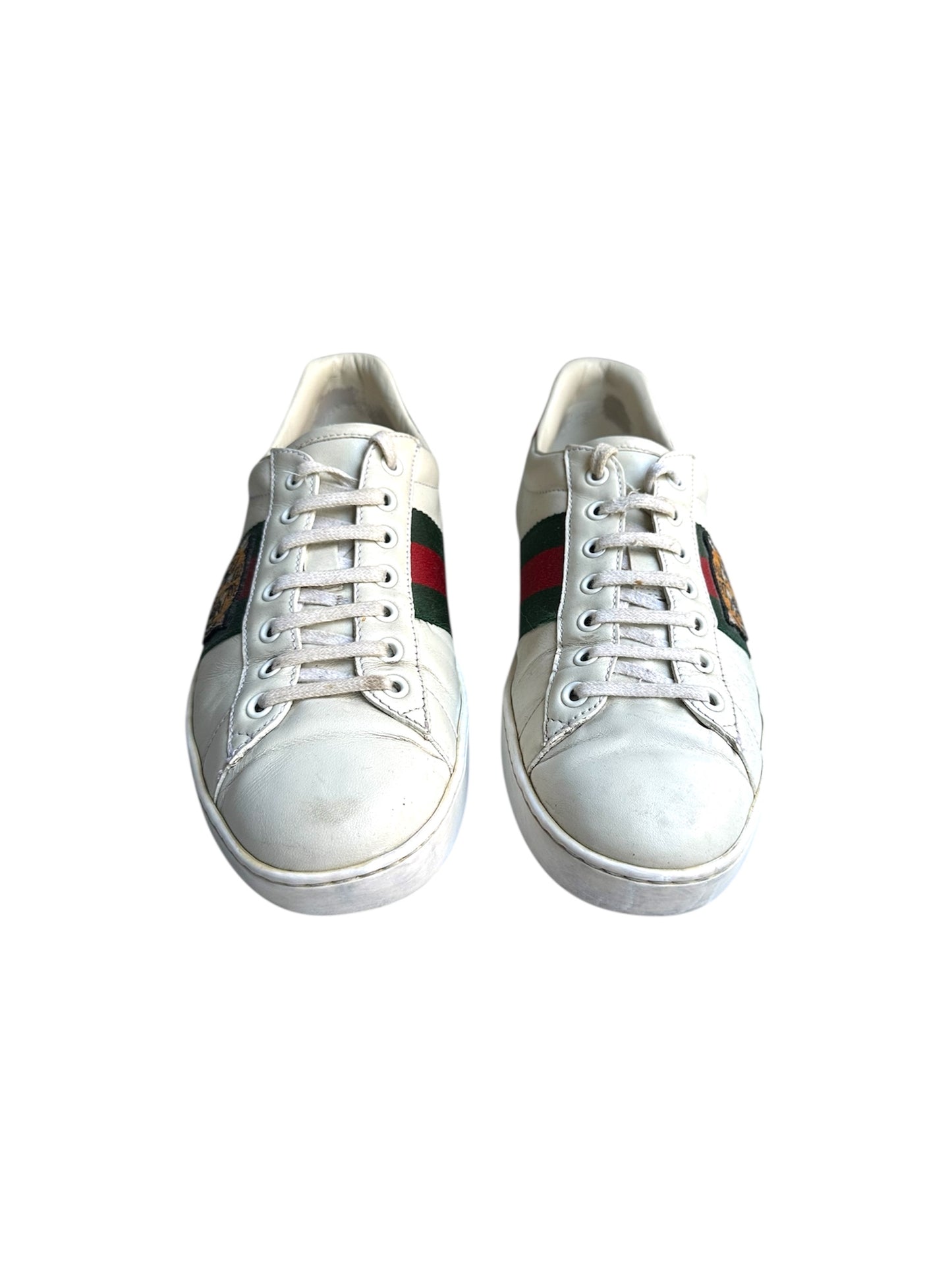Gucci sneaker