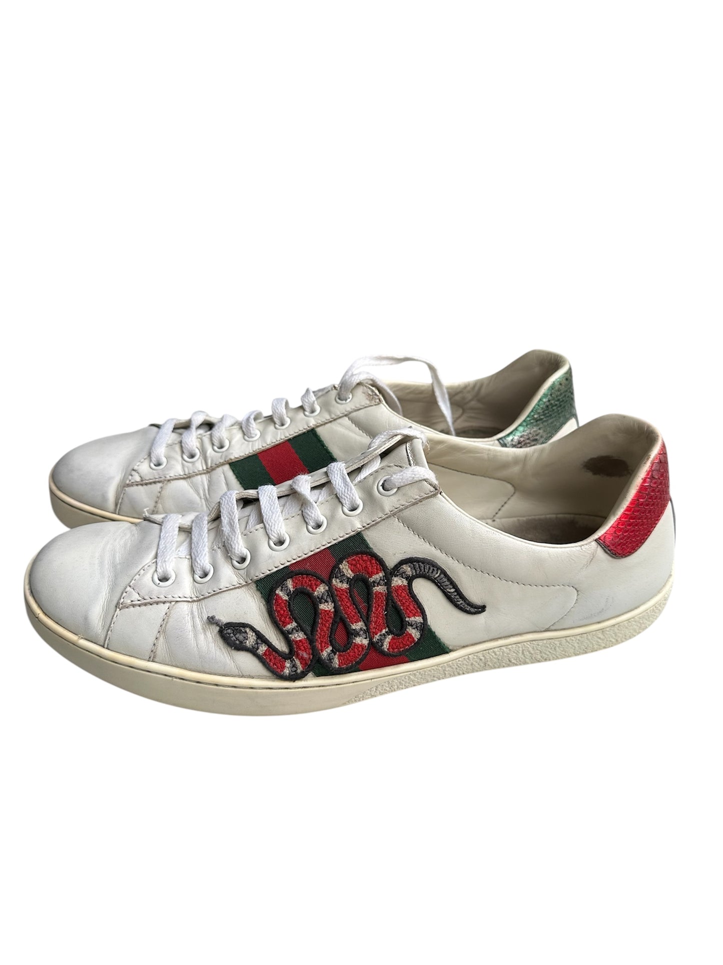 Gucci ace snake
