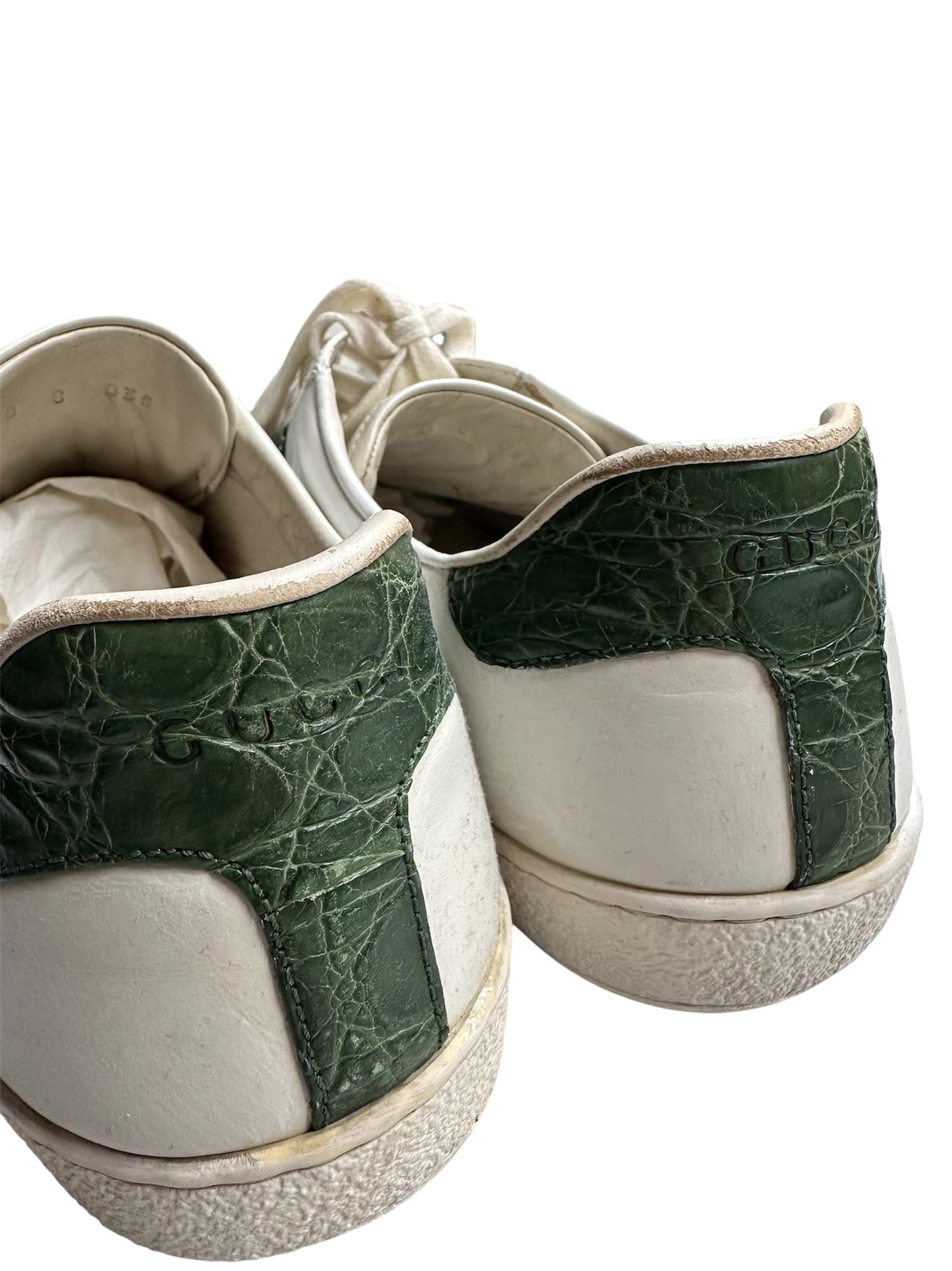 Gucci ace