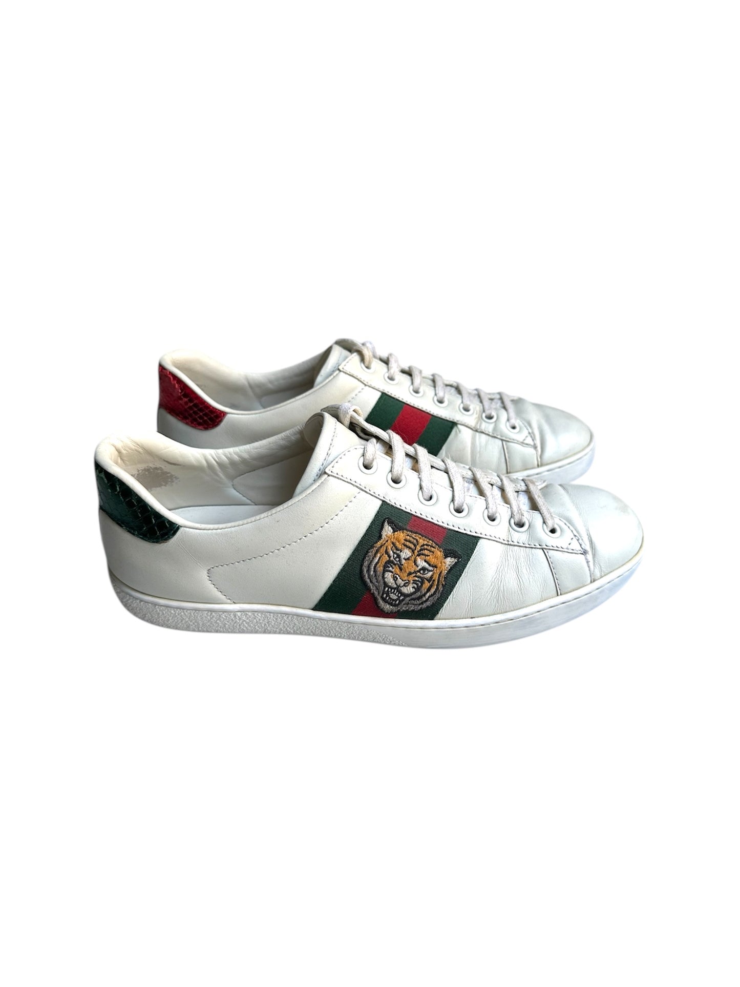 Gucci sneaker