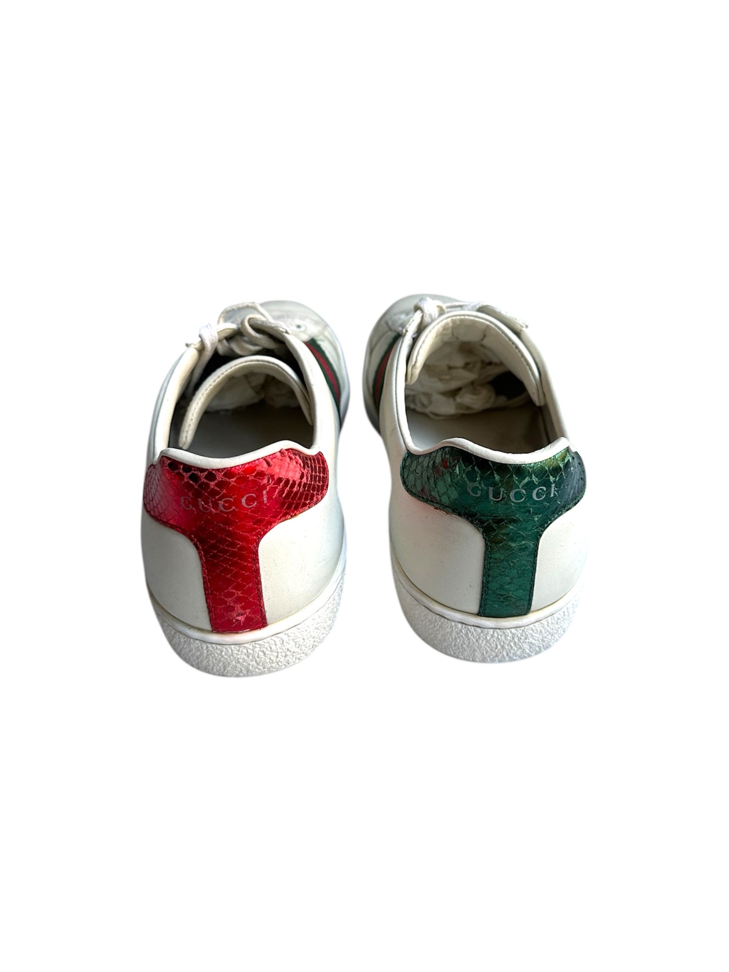 Gucci sneaker